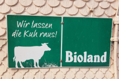 2022_Schneckeck_Ausgeschneckt-45