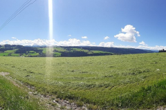 2022_Schneckeck_Ausgeschneckt-50