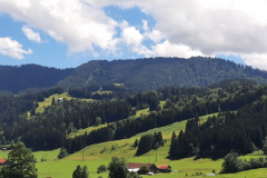 2022_Schneckeck_Ausgeschneckt-52