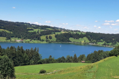 2022_Schneckeck_Ausgeschneckt-58