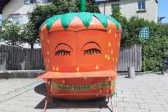 2022_Schneckeck_Ausgeschneckt-39