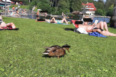 2022_Schneckeck_Ausgeschneckt-42