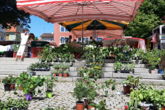 Blindenberger Wochenmarkt.