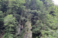 2022_Schneckeck_Ausgeschneckt-7