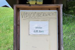 2022_Schneckeck_Ausgeschneckt-8