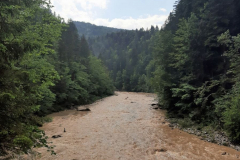 2022_Schneckeck_Ausgeschneckt-9