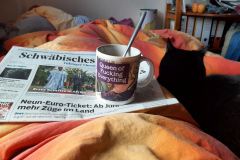 Sommer-vorm-Balkon-10